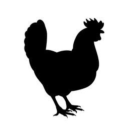 AVES